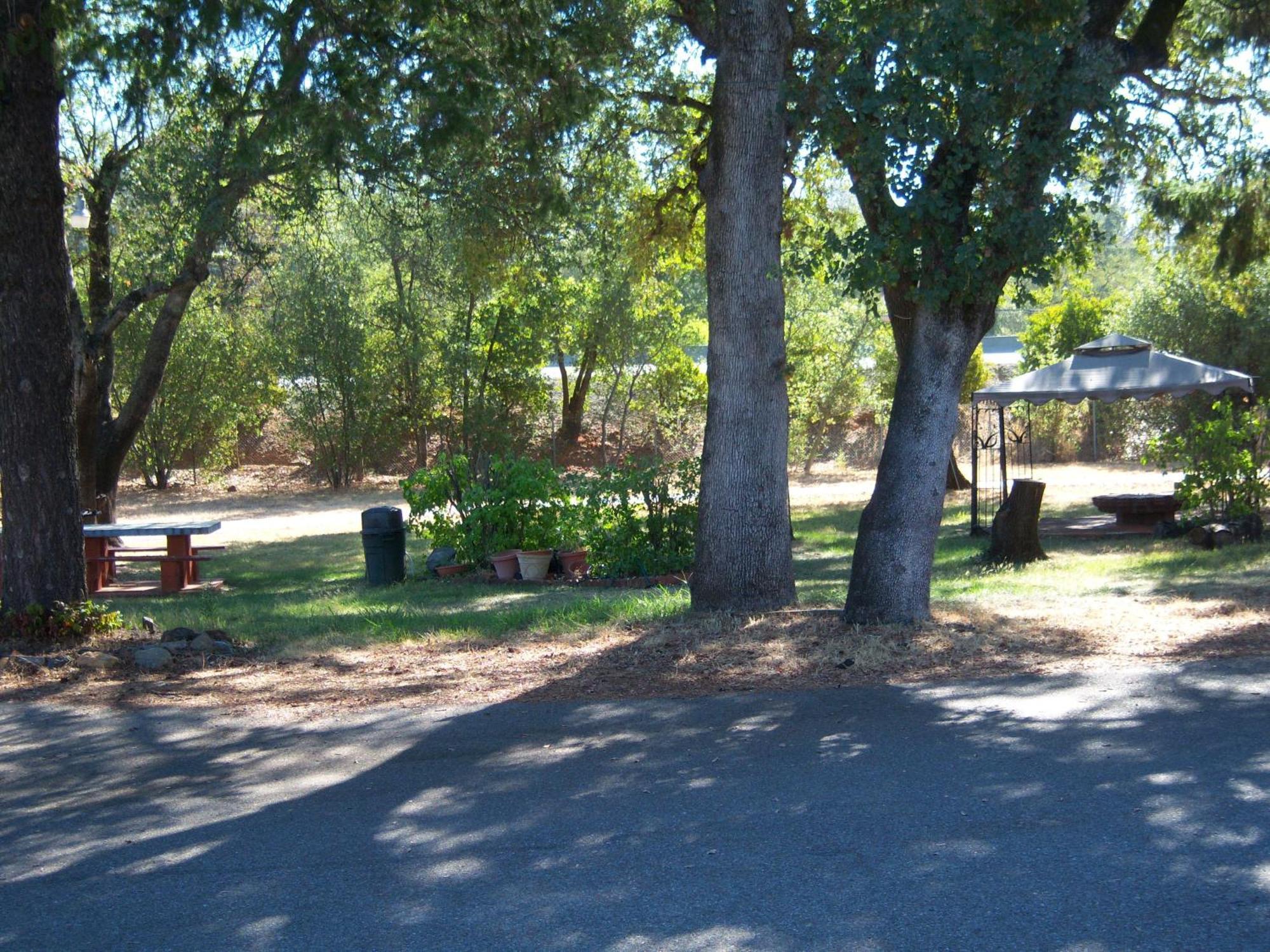 Shasta Dam Motel Shasta Lake Buitenkant foto